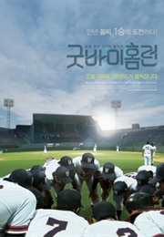 Goodbye Homerun (2013)