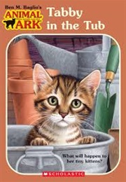 Tabby in the Tub (Ben M. Baglio)