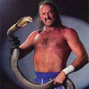 Jake 'The Snake' Roberts