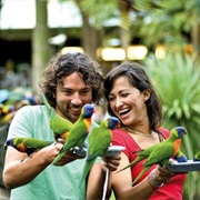 Currumbin Wildlife Sanctuary