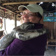 Hug a Sloth