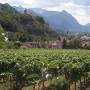 Prince of Liechtenstein Winery