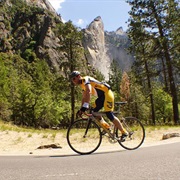 Have a Health Fitness Program for Yourself