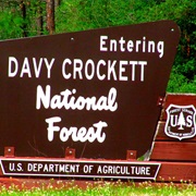 Davy Crocket National Forest