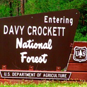 Davy Crocket National Forest