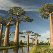 Antananarivo, Madagascar