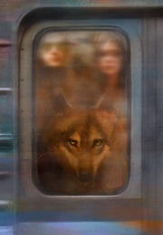 This Chance Planet (Elizabeth Bear)