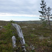 Fulufjellet National Park