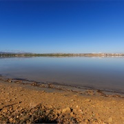 Larnaca Salt Lake