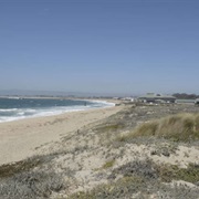 Moss Landing State Beach, California