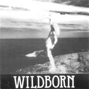 Wildborn - You Ain't Foolin' Me