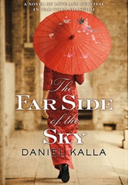 The Far Side of the Sky (Daniel Kalla)