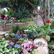 Regina Floral Conservatory