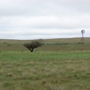 Rita Blanca National Grassland