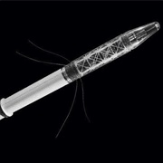 U.S. Launches Explorer I (1958)