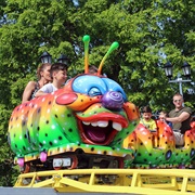 Krummel (De Valkenier, Netherlands)