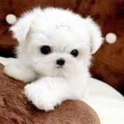 Entered My Contest for a Prize