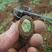 Search for Treasure on Oak Island (NS)