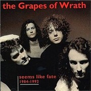 The Grapes of Wrath - Seems Like Fate 1984-1992
