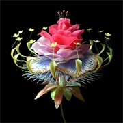 Super Natural (Feat. Carly Rae Jepsen) - Single - Danny L Harle