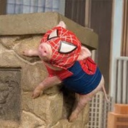 Spiderman Pig