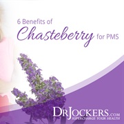 Chasteberry to Relieve PMS