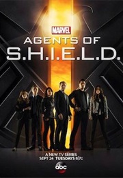 Agents of SHIELD (Season 1, EPs 17-22) (2014)