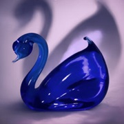 Swan
