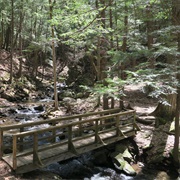 Chesterfield Gorge Natural Area, Chesterfield, NH