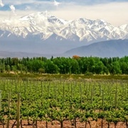 Wine Tasting Around Mendoza, Argentina