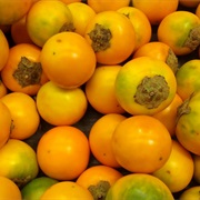Naranjilla (Solanum Quitoense)