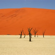 Dead Vlei