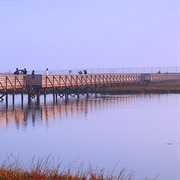 Bolsa Chica Ecological Reserve
