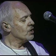 Peter Frampton - Lines on My Face