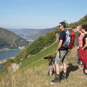 Hiking in Rüdesheim