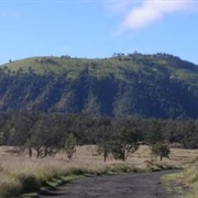Puu Waawaa Wildlife Sanctuary, Hawaii