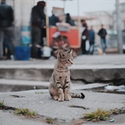 Spend Money on Experiences, Not Things