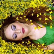 Write a Dream Journal