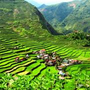 Banawe Rice Terraces