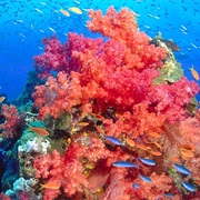 Somosomo Strait, Fiji