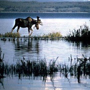Isle Royale National Park