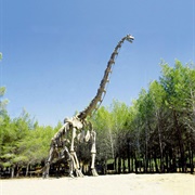 Musée Parc Des Dinosaures Et De La Préhistoire, Bouzigues, France