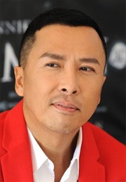 Donnie Yen (Ip Man) (2008)