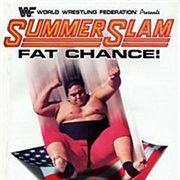 Summerslam 1993