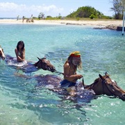 Horse Riding in Ocean