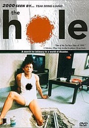 The Hole (1998)