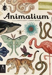 Animalium (Jenny Broom, Katie Scott)