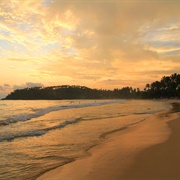 Mirissa Beach