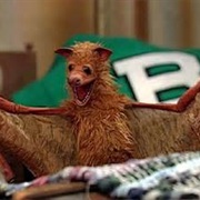 Benny the Bat