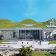 California Academy of Sciences